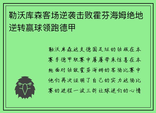 勒沃库森客场逆袭击败霍芬海姆绝地逆转赢球领跑德甲